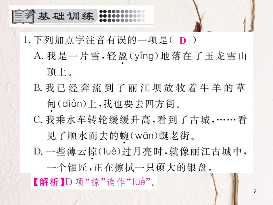 八年级语文下册 第五单元 20 一滴水经过丽江习题课件 新人教版[共28页]_第2页