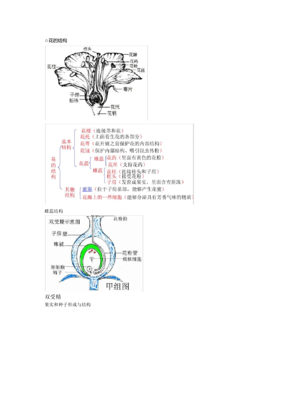 高中生物必修二第一章知识点总结[共9页][共9页]_第1页