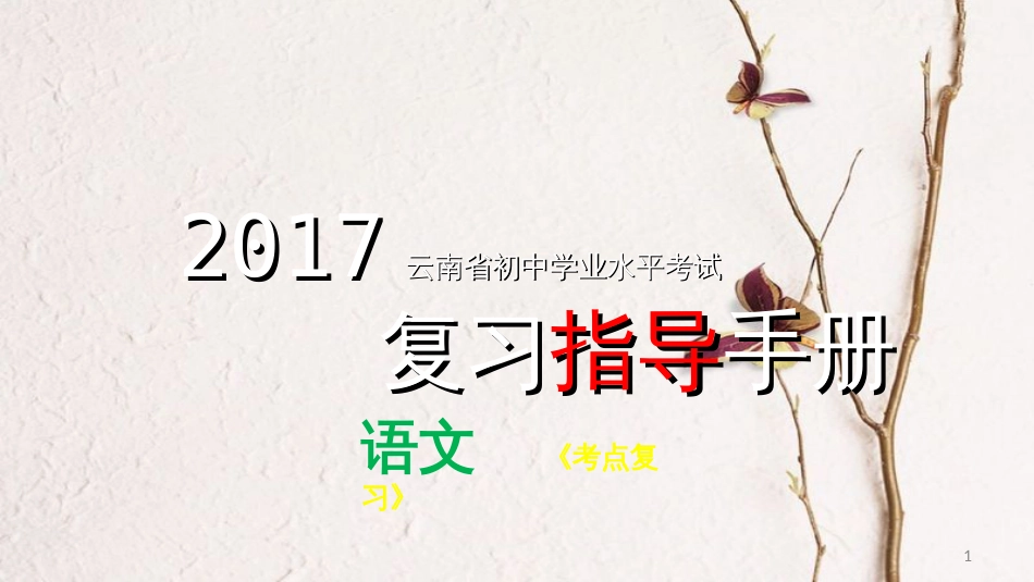 云南省中考语文 专题五 病句的辨析与修改复习课件_第1页