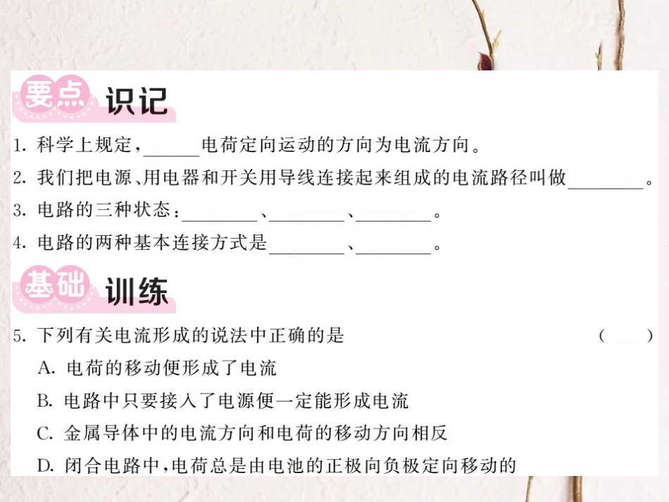 八年级科学上册 4.1.2 电荷与电流习题课件 （新版）浙教版[共14页]_第3页