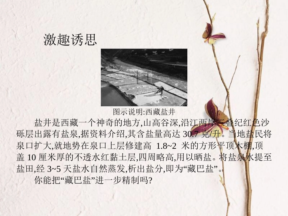 高中化学 第一章 从实验学化学 第一节 化学实验基本方法（第2课时）教学课件 新人教版必修1[共22页]_第2页