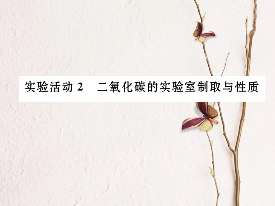 九年级化学上册 第6单元 碳和碳的氧化物 实验活动2 二氧化碳的实验室制取与性质习题课件 （新版）新人教版[共19页]_第1页