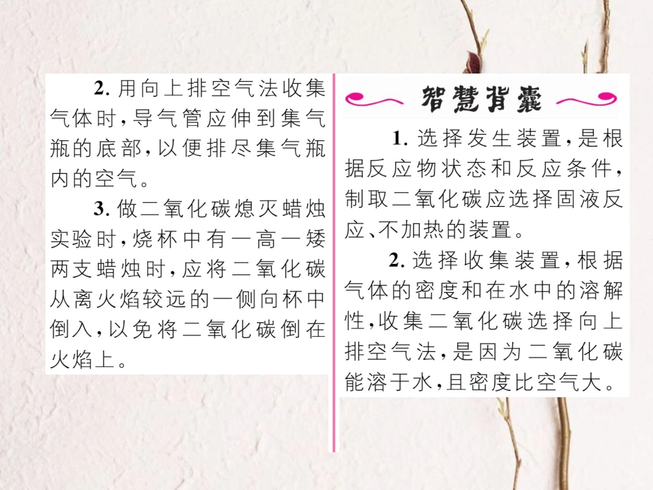 九年级化学上册 第6单元 碳和碳的氧化物 实验活动2 二氧化碳的实验室制取与性质习题课件 （新版）新人教版[共19页]_第3页