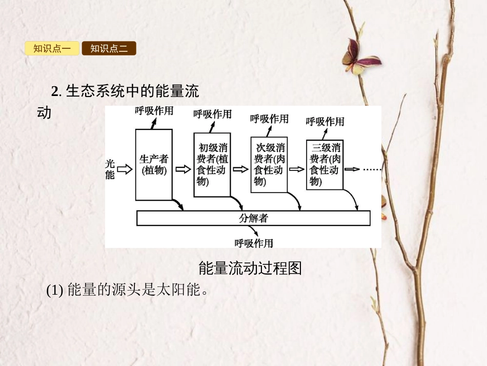 八年级生物下册 6.2.3 能量流动和物质循环课件 （新版）济南版_第3页