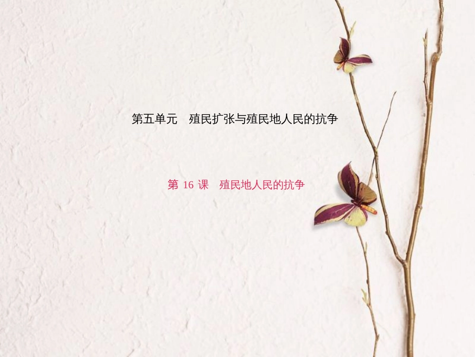 九年级历史上册 第五单元 第16课 殖民地人民的抗争课件 新人教版_第1页