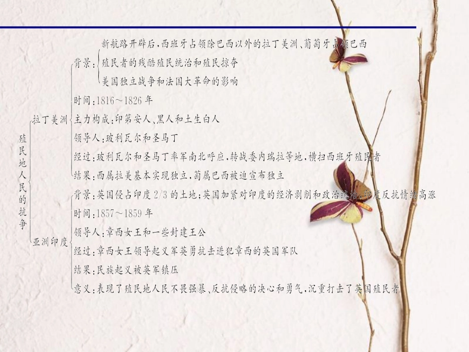 九年级历史上册 第五单元 第16课 殖民地人民的抗争课件 新人教版_第3页