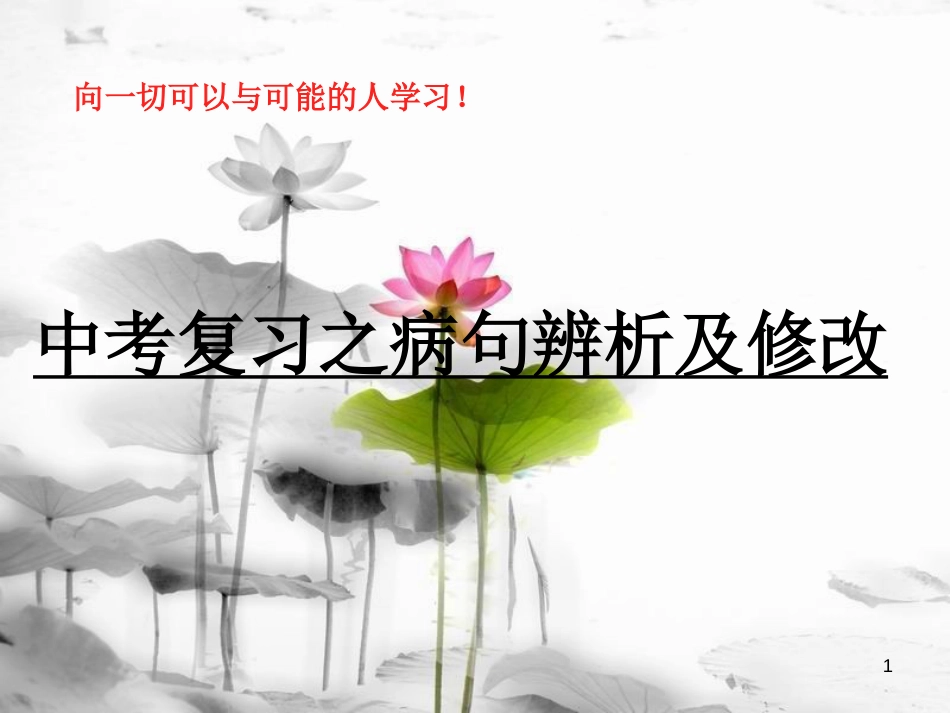 安徽省广德县景贤中学（原新金龙、新宇中学）中考语文 病句辨析及修改复习课件_第1页