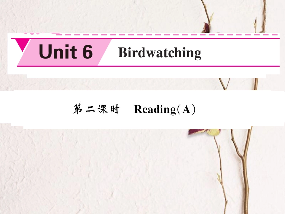 八年级英语上册 Unit 6 Bird watching（第2课时）课件 （新版）牛津版[共4页]_第1页