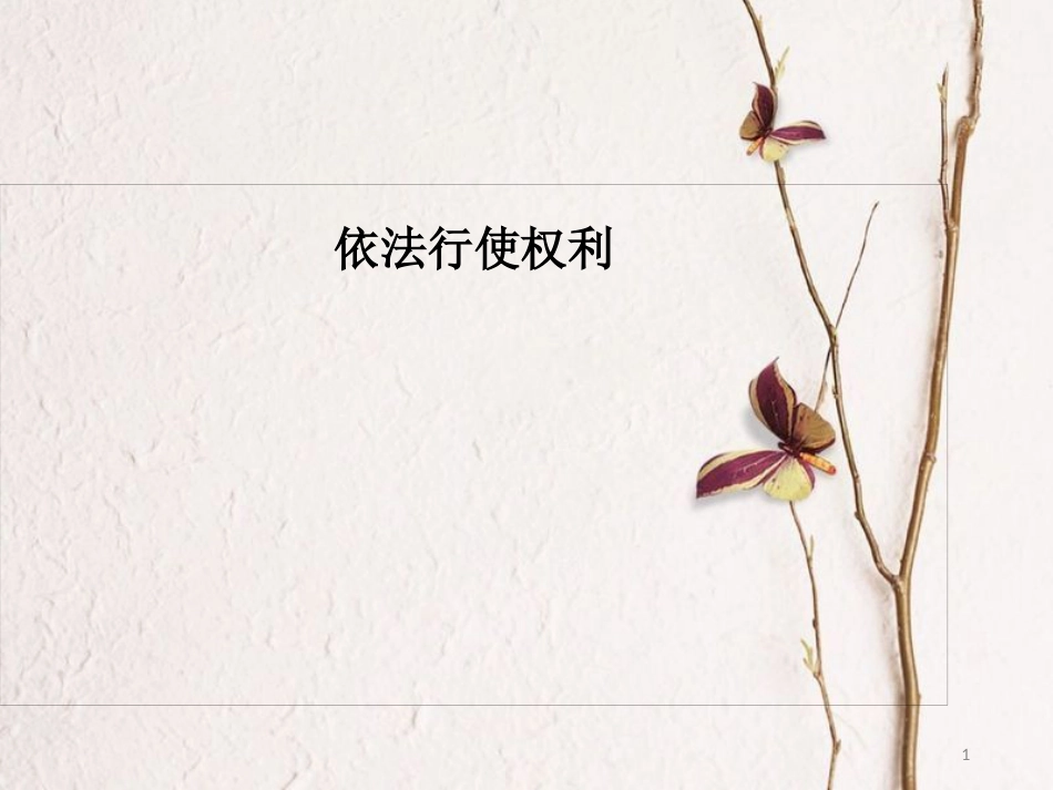八年级道德与法治下册 第二单元 理解权利义务 第三课 公民权利 第2框《依法行使权利》课件 新人教版_第1页