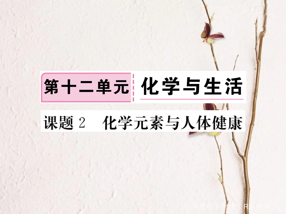 （贵州专）九年级化学下册 第十二单元 课题2 化学元素与人体健康复习课件 （新）新人教版_第1页