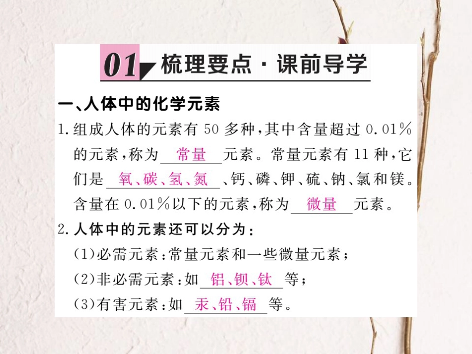 （贵州专）九年级化学下册 第十二单元 课题2 化学元素与人体健康复习课件 （新）新人教版_第2页