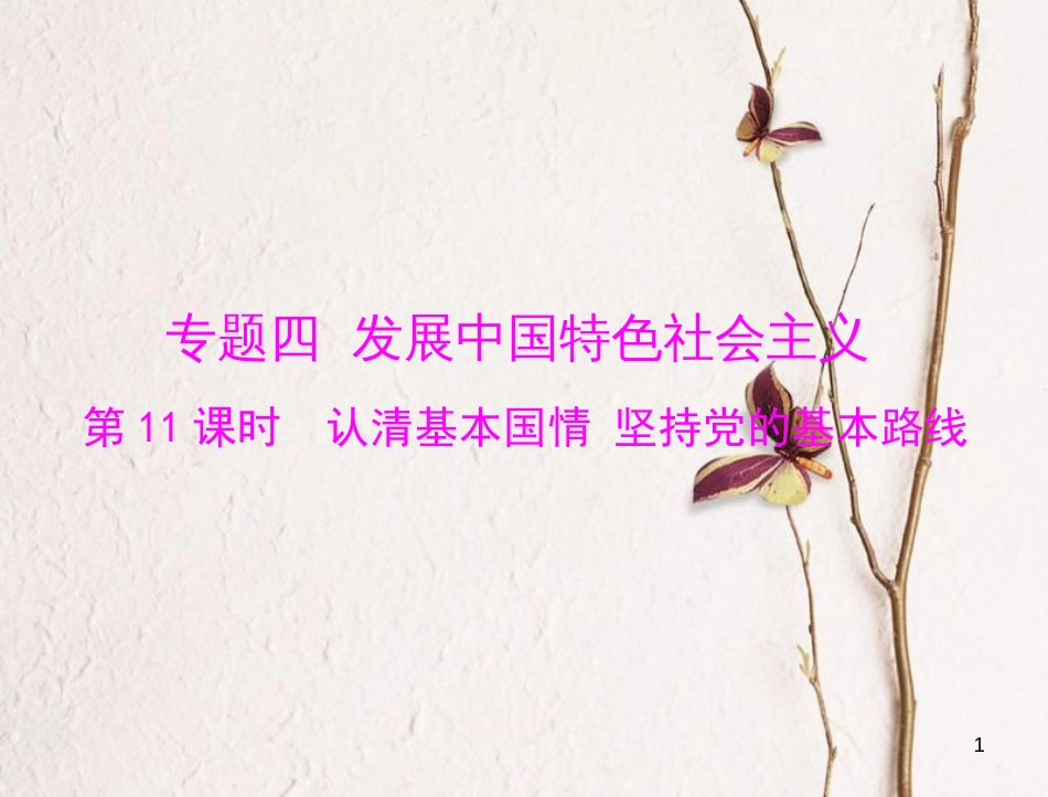 中考政治 第一部分 知识闯关 能力提升 第11课时 认清基本国情 坚持党的基本路线复习课件_第1页