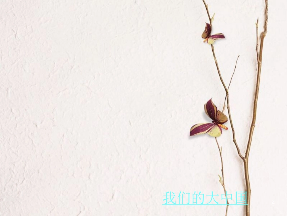 七年级地理上册 第三章 第一节 中国的地势与地形课件3 中图版[共39页]_第2页