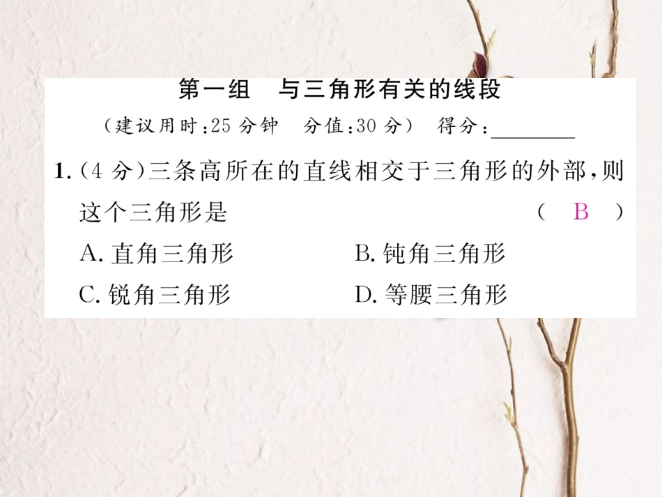 八年级数学上册 11 三角形双休作业（一）课件 （新版）新人教版[共24页]_第2页