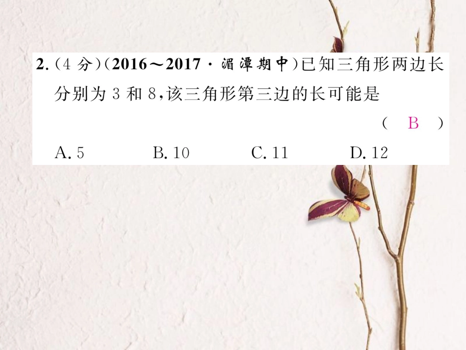 八年级数学上册 11 三角形双休作业（一）课件 （新版）新人教版[共24页]_第3页