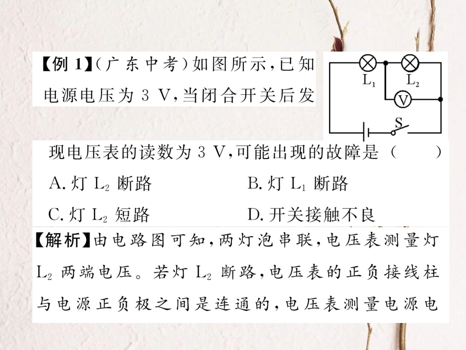 （黔西南地区）九年级物理全册 小专题5 电路故障分析课件 （新）新人教_第3页