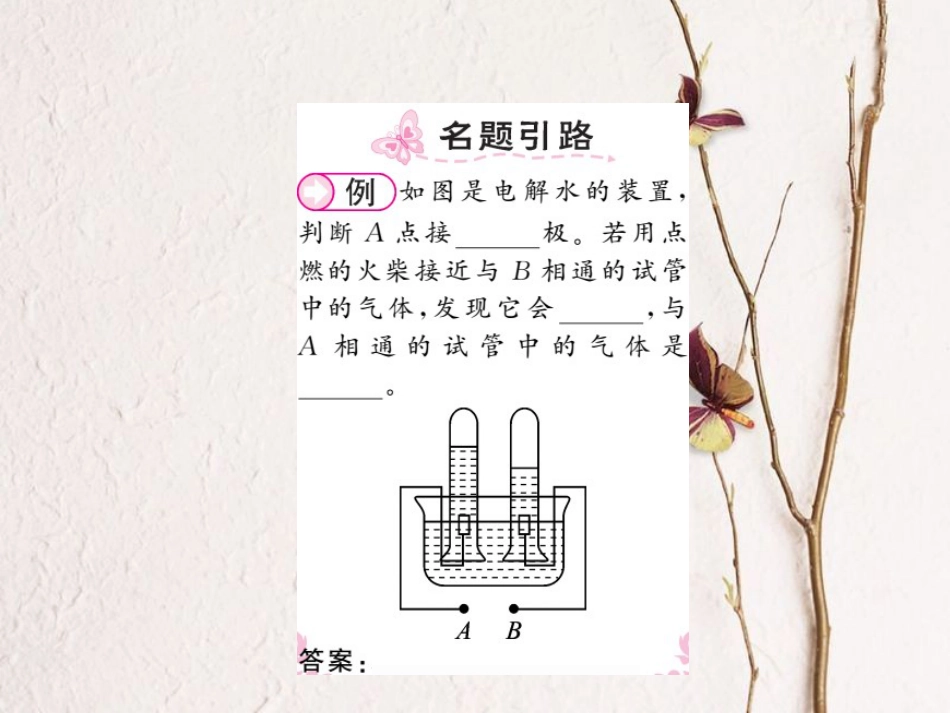 八年级科学上册 1.2 水的组成习题课件 （新版）浙教版[共14页]_第2页
