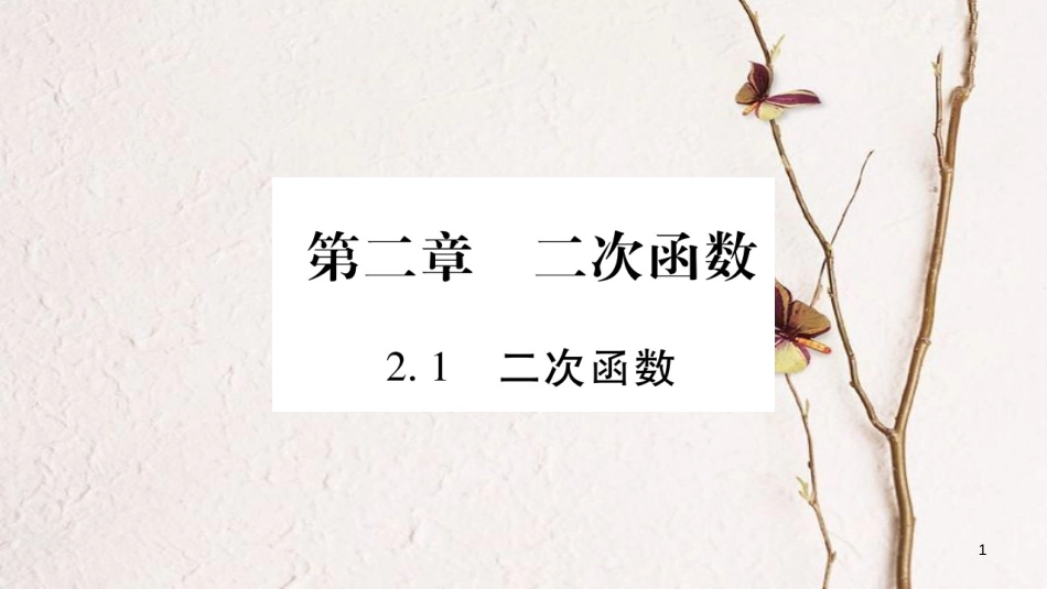 九年级数学下册 第二章 二次函数 2.1《二次函数》习题课件 （新版）北师大版_第1页