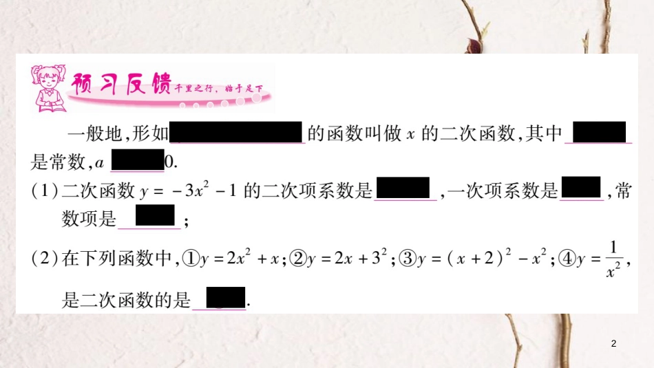 九年级数学下册 第二章 二次函数 2.1《二次函数》习题课件 （新版）北师大版_第2页