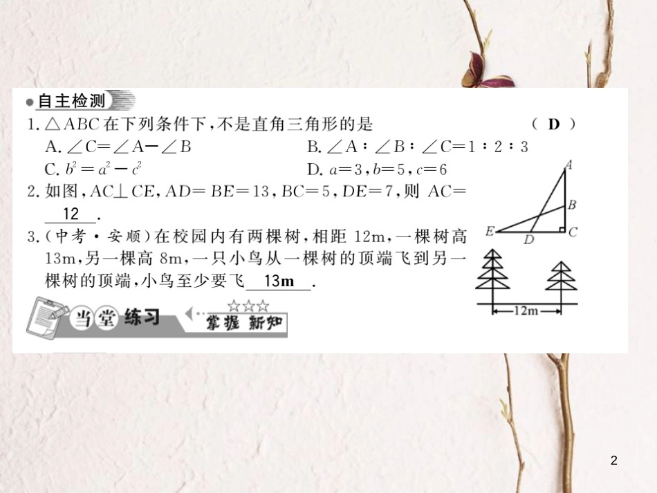 八年级数学下册 第1章 直角三角形 1.2 直角三角形的性质与判定（Ⅱ）（第3课时）习题课件 （新版）湘教版_第2页