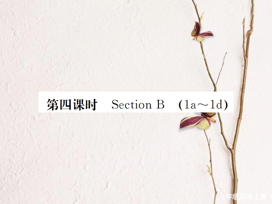 （河北专）九年级英语全册 Unit 9 I like music that I can dance to（第4课时）习题课件 （新）人教新目标版_第1页