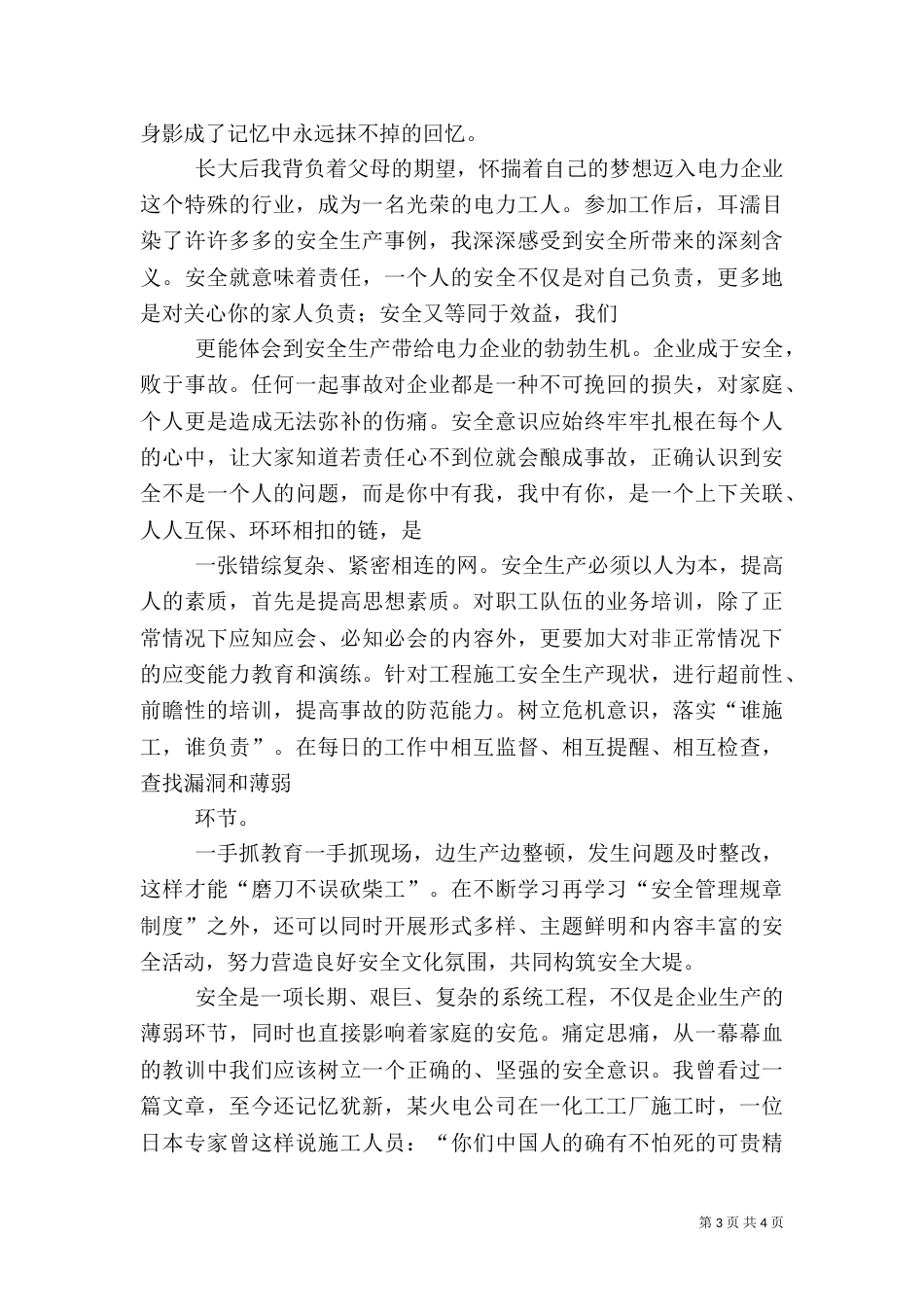 安全总结电力行业_第3页