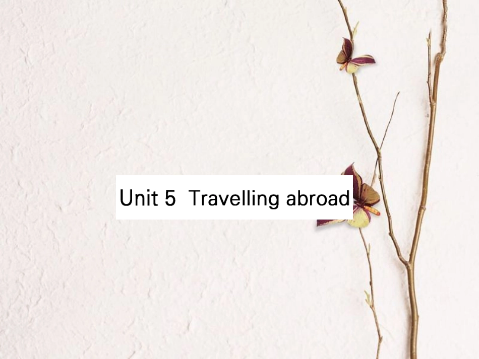 （全国）高考英语一轮复习 Unit 5 Travelling abroad课件 新人教选修7_第1页