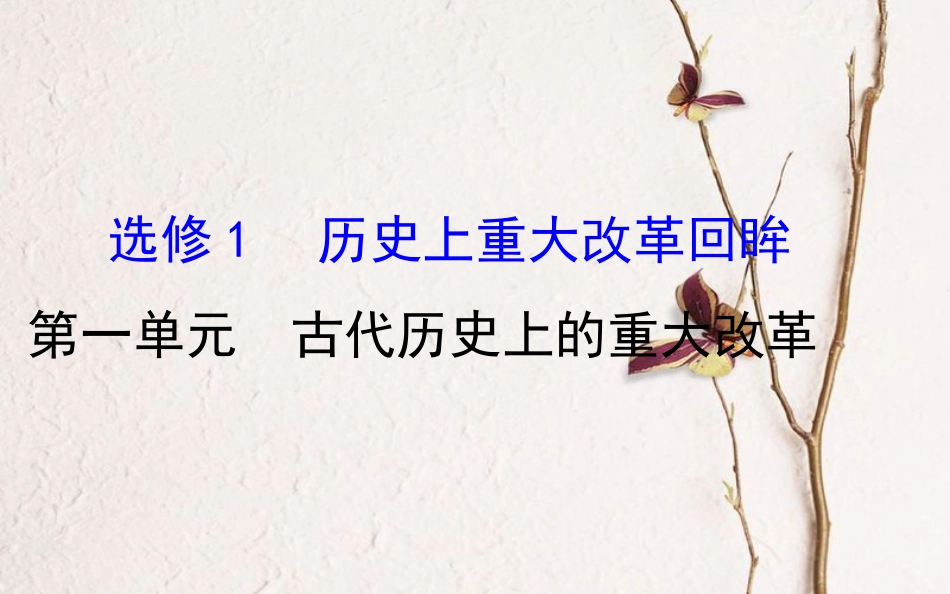 （通史）高考历史一轮复习 历史上重大改革回眸 第一单元 古代历史上的重大改革课件 新人教选修1_第1页
