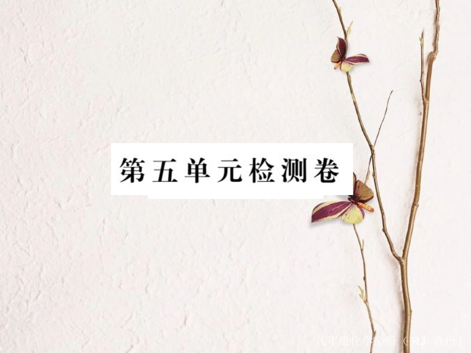 （贵州专）九年级化学上册 第五单元 化学方程式复习课件 （新）新人教版_第1页