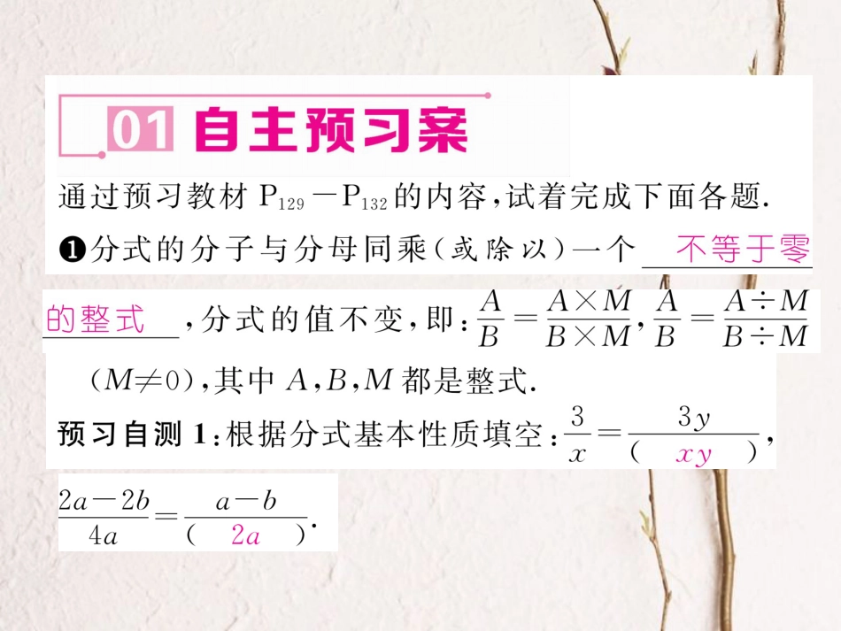 八年级数学上册 15.1.2 分式的基本性质课件 （新版）新人教版[共21页]_第2页