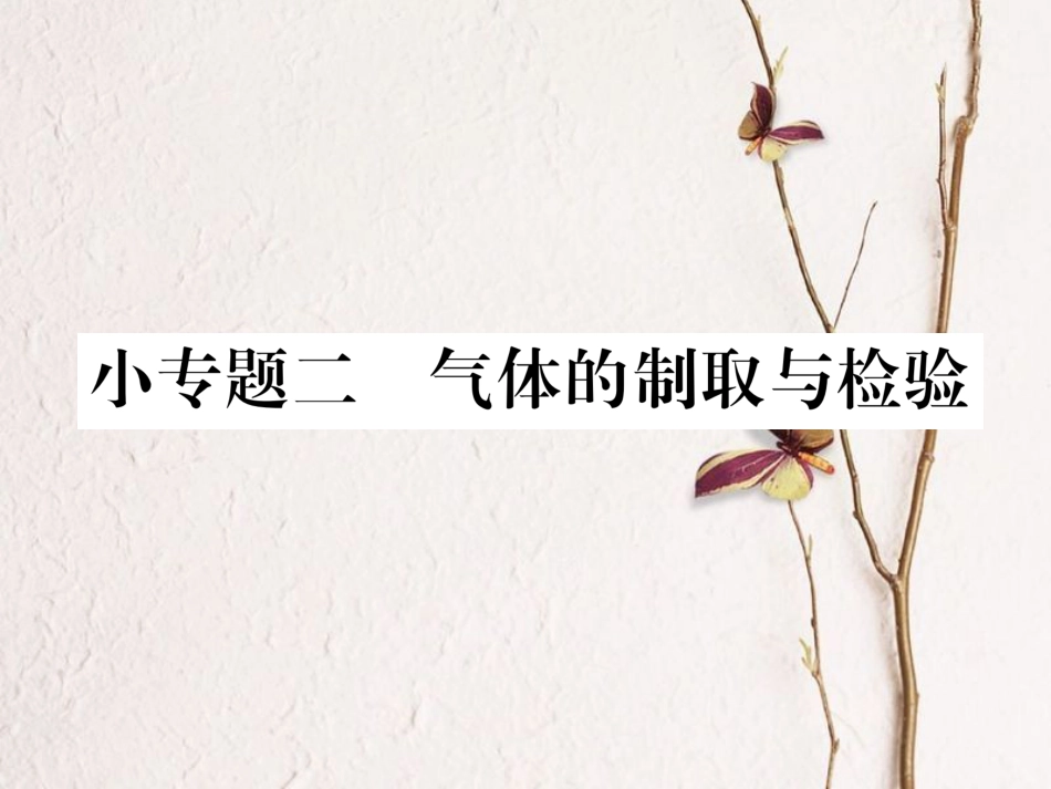 九年级化学上册 第7单元 燃料及其利用 小专题二 气体的制取与检验习题课件 （新版）新人教版[共23页]_第1页