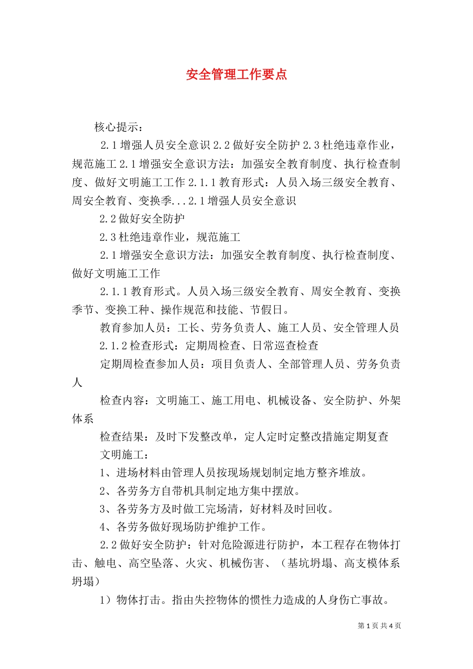 安全管理工作要点_第1页