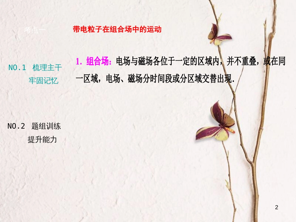 优化探究（新课标）高三物理一轮复习 第8章 磁场 第3讲 带电粒子在复合场中的运动课件_第2页