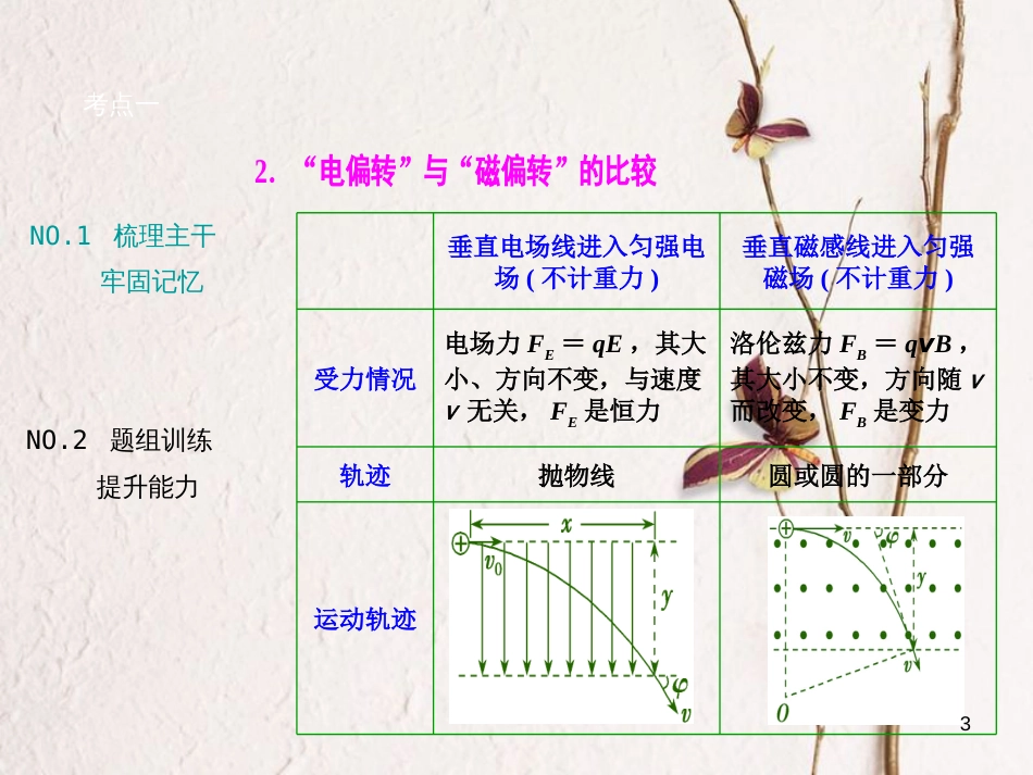 优化探究（新课标）高三物理一轮复习 第8章 磁场 第3讲 带电粒子在复合场中的运动课件_第3页