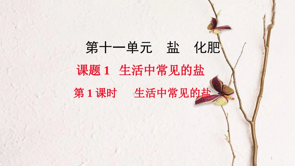 九年级化学下册 第11单元 盐 化肥 课题1 生活中常见的盐 第1课时 生活中常见的盐教学课件 （新版）新人教版[共25页]_第1页