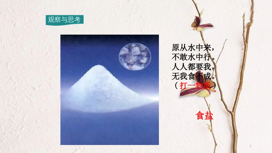 九年级化学下册 第11单元 盐 化肥 课题1 生活中常见的盐 第1课时 生活中常见的盐教学课件 （新版）新人教版[共25页]_第2页