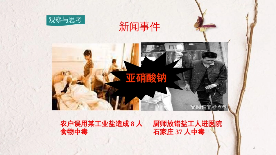 九年级化学下册 第11单元 盐 化肥 课题1 生活中常见的盐 第1课时 生活中常见的盐教学课件 （新版）新人教版[共25页]_第3页