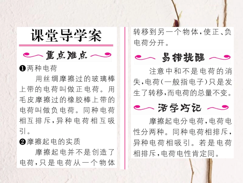 （黔西南地区）九年级物理全册 第15章 电流和电路 第1节 两种电荷习题课件 （新）新人教_第2页