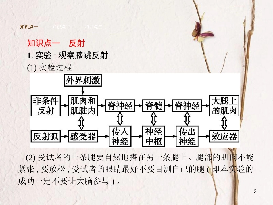 七年级生物下册 3.5.3神经调节的基本方式课件 （新版）济南版_第2页