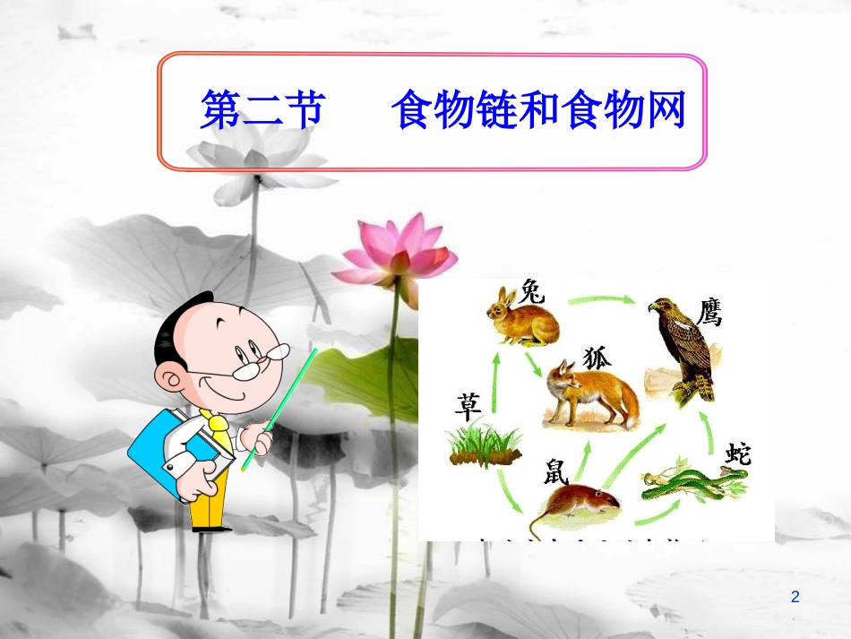 八年级生物下册 第六单元 第二章 食物链和食物网课件 （新版）济南版[共23页]_第2页