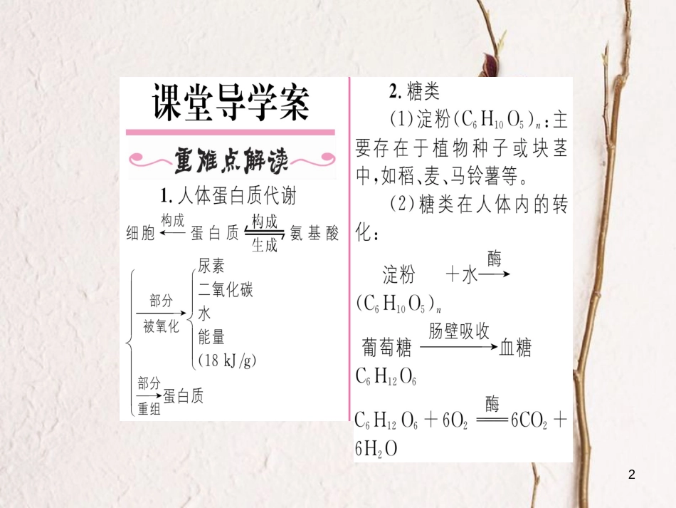 九年级化学下册 第12单元 化学与生活 课题1 人类重要的营养物质习题课件 （新版）新人教版[共19页]_第2页