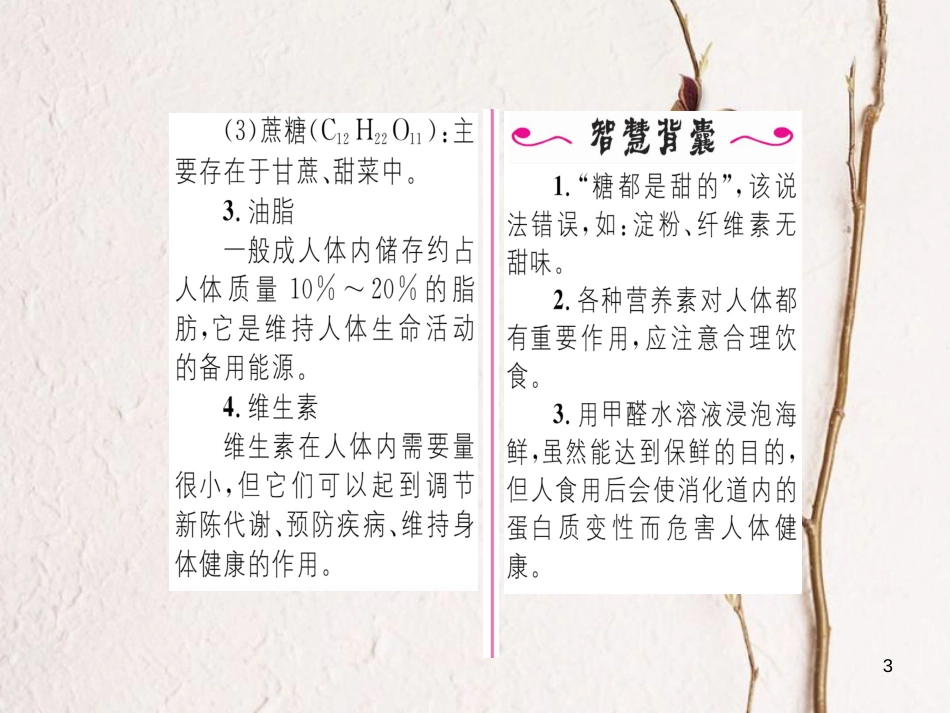 九年级化学下册 第12单元 化学与生活 课题1 人类重要的营养物质习题课件 （新版）新人教版[共19页]_第3页