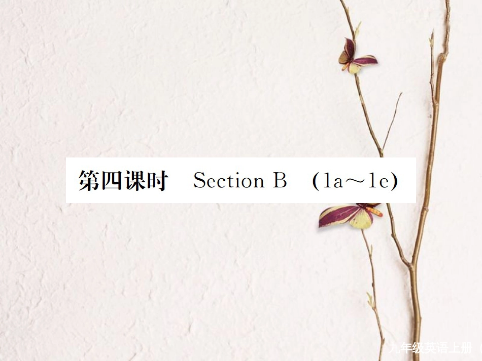 （河北专）九年级英语全册 Unit 7 Teenagers should be allowed to choose their own clothes（第4课时）习题课件 （新）人教新目标版_第1页