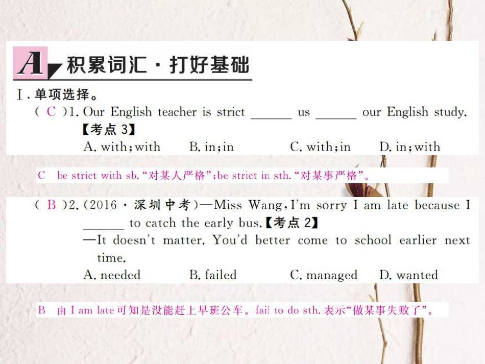 （河北专）九年级英语全册 Unit 7 Teenagers should be allowed to choose their own clothes（第4课时）习题课件 （新）人教新目标版_第2页