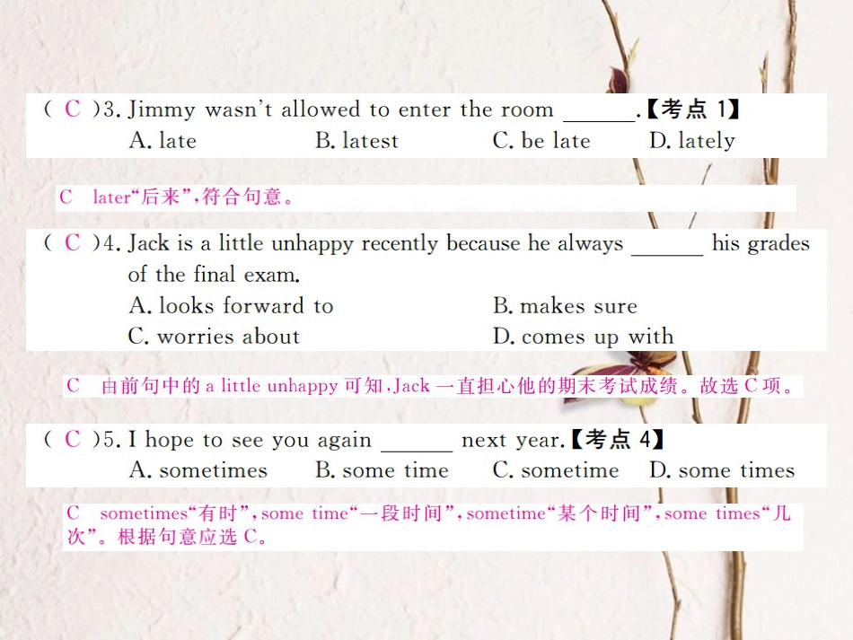 （河北专）九年级英语全册 Unit 7 Teenagers should be allowed to choose their own clothes（第4课时）习题课件 （新）人教新目标版_第3页
