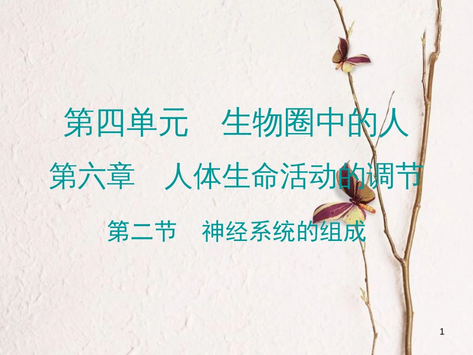 广东省七年级生物下册 第6章 第二节 神经系统的组成导练课件 （新版）新人教版_第1页