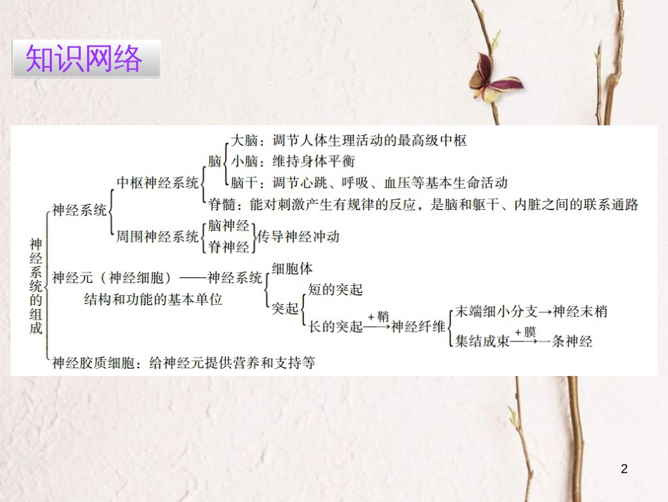广东省七年级生物下册 第6章 第二节 神经系统的组成导练课件 （新版）新人教版_第2页