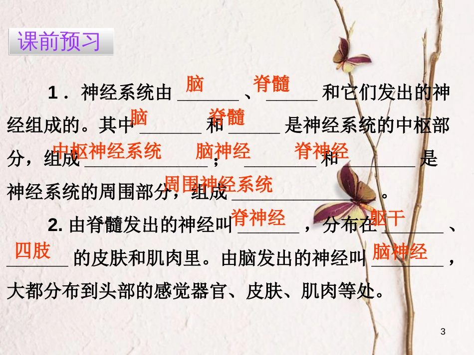 广东省七年级生物下册 第6章 第二节 神经系统的组成导练课件 （新版）新人教版_第3页