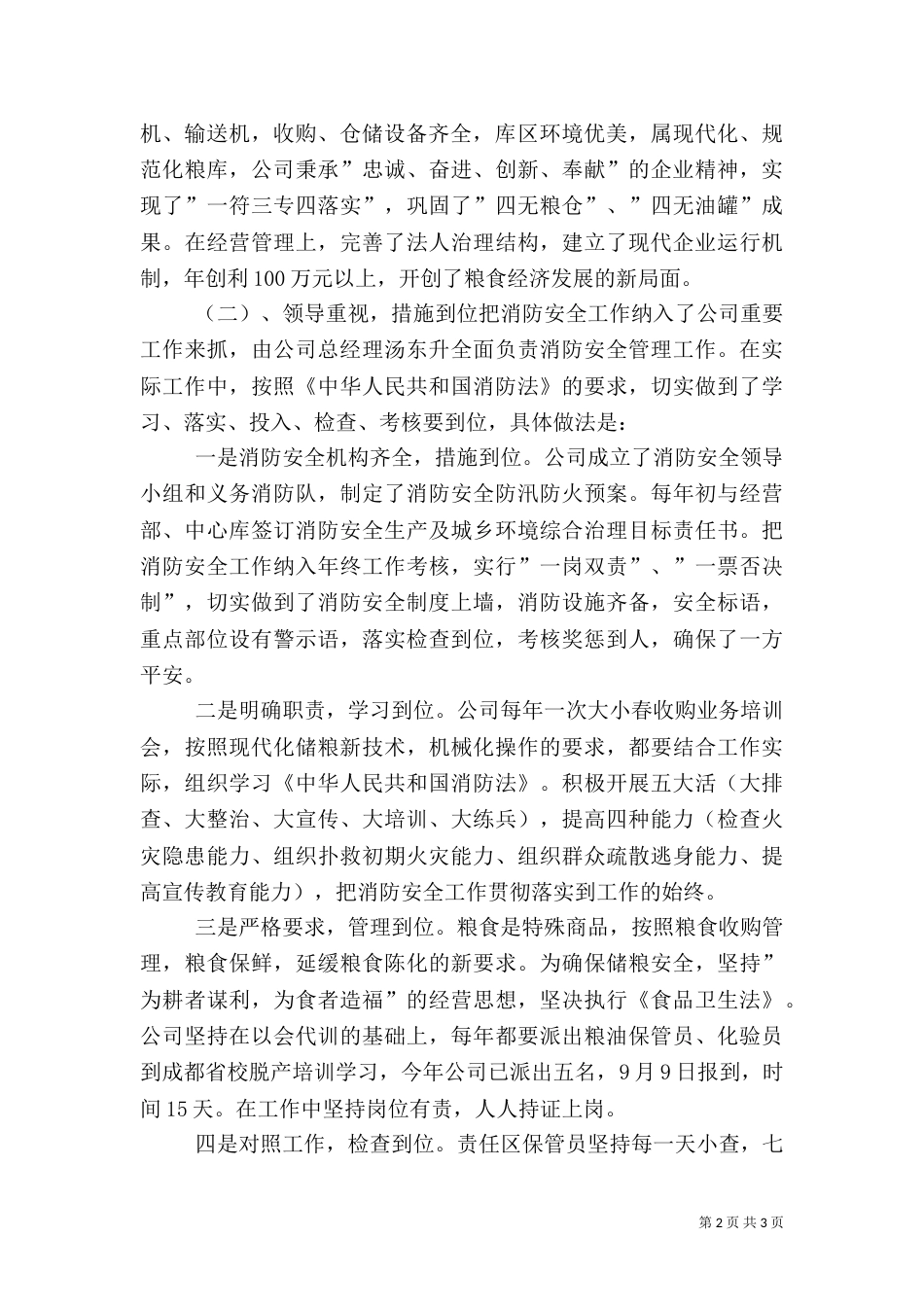 粮食局消防安全大排查大整治活动工作总结_第2页
