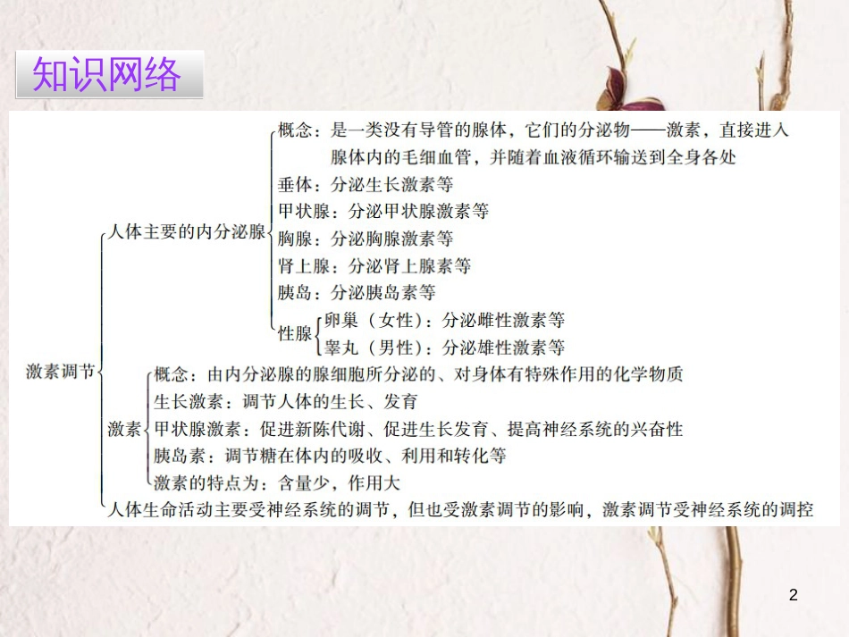 广东省七年级生物下册 第6章 第四节 激素调节导练课件 （新版）新人教版_第2页
